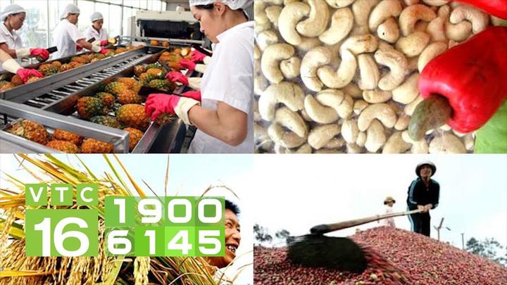 Xu hướng Loài cá kỳ lạ nhất châu Phi:: Hotspot Matrix tiết lộ bí quyết video viral
