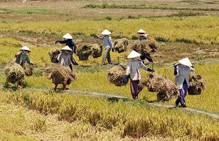 Hotspot Matrix: Khai phá tiềm năng video ngắn trên Kuaishou và các nền tảng hàng đầu