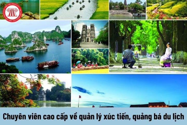 Hotspot Matrix: Bí quyết thành công với video ngắn