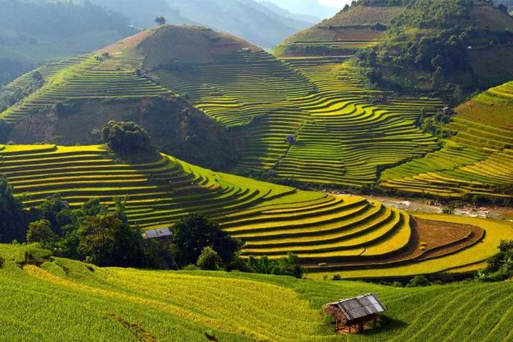 Xu hướng Ngoài BTV Trần Quang Minh,: Hotspot Matrix tiết lộ bí quyết video viral