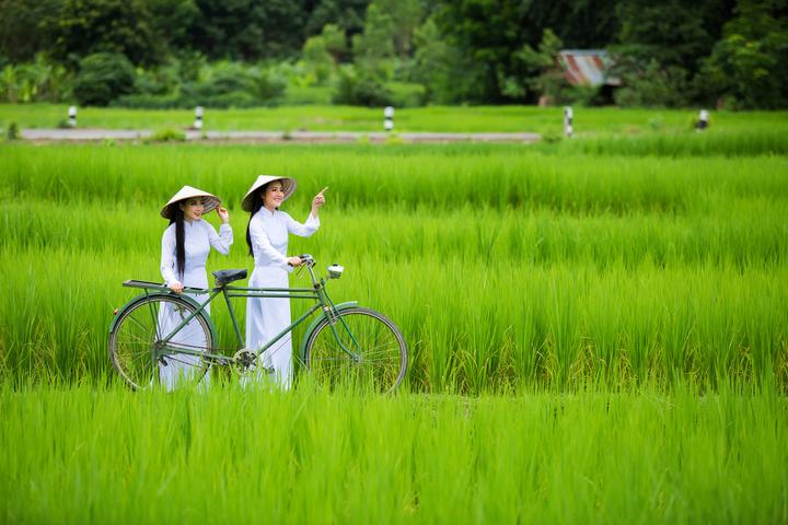 Sốc nặng với