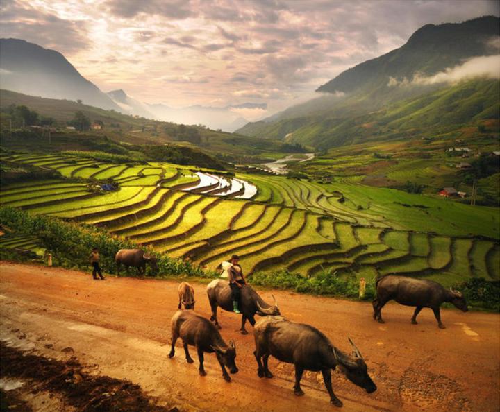 Sốc: Vụ tố