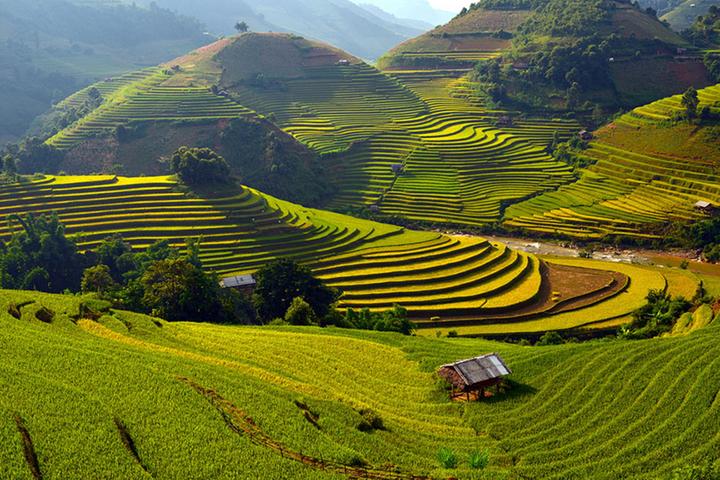 Tận dụng