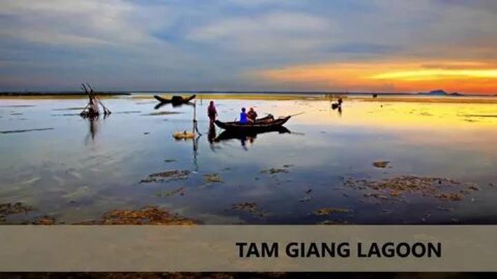 Nội dung: Trong một bóng mát trong mùa hè nóng bỏng, một cột mốc trong lịch sử nhạc