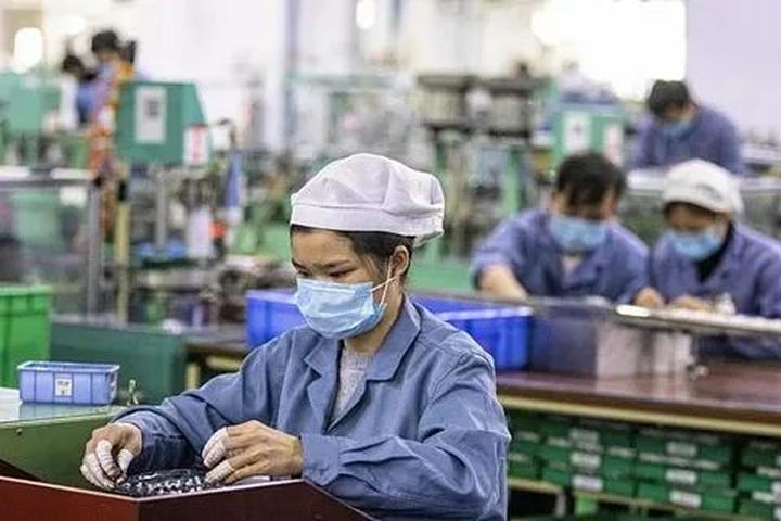 Xu hướng Loài cá kỳ lạ nhất châu Phi:: Hotspot Matrix tiết lộ bí quyết video viral
