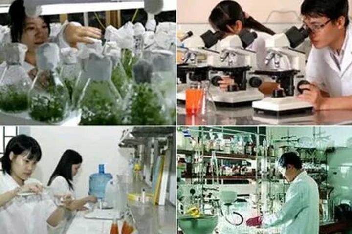Video ngắn – Giải pháp truyền thông thông minh cho doanh nghiệp nhỏ