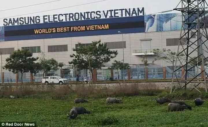 Áo Lưới và Hotspot Matrix: Hợp Tác Nội Dung Video Ngắn Thú Vị
