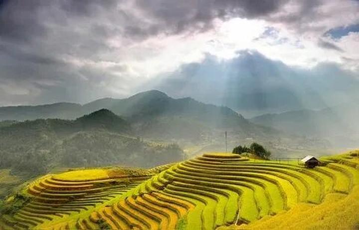 Mùa hè đang trở nên sôi động hơn với sự xuất hiện của chuỗi sự kiện